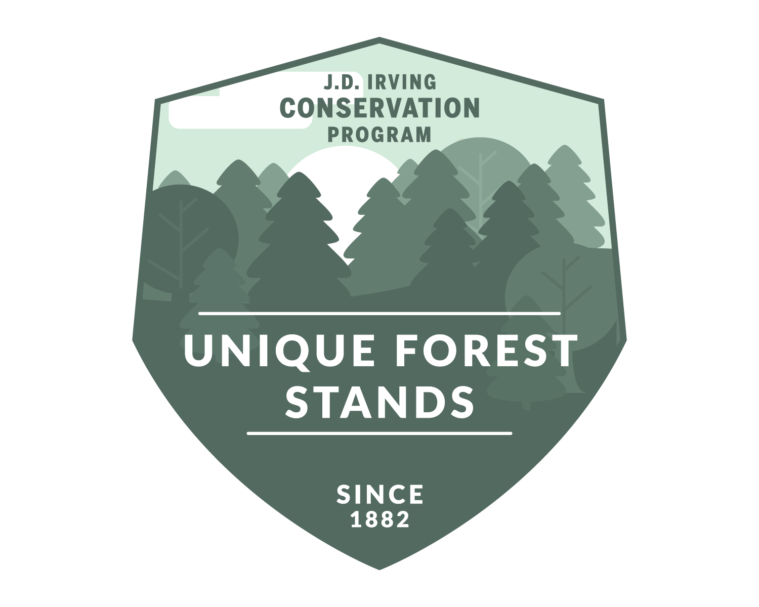 unique-forest-stands-j-d-irving-conservation