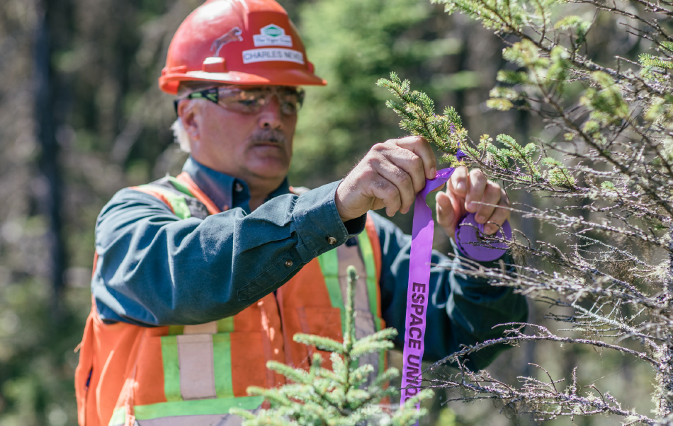 Charles Cyr tying unique areas ribbon on tree