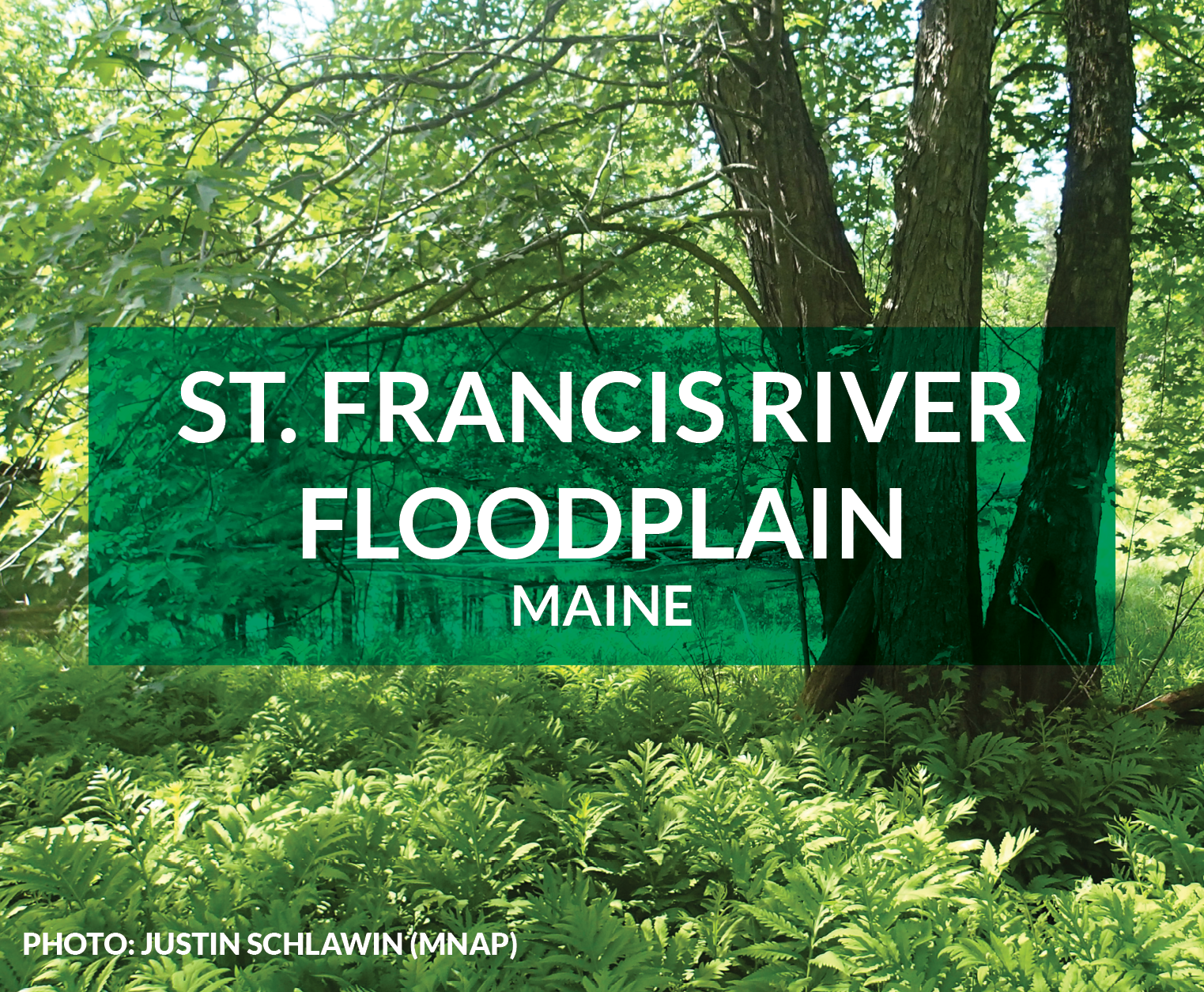 st francis river floodplain