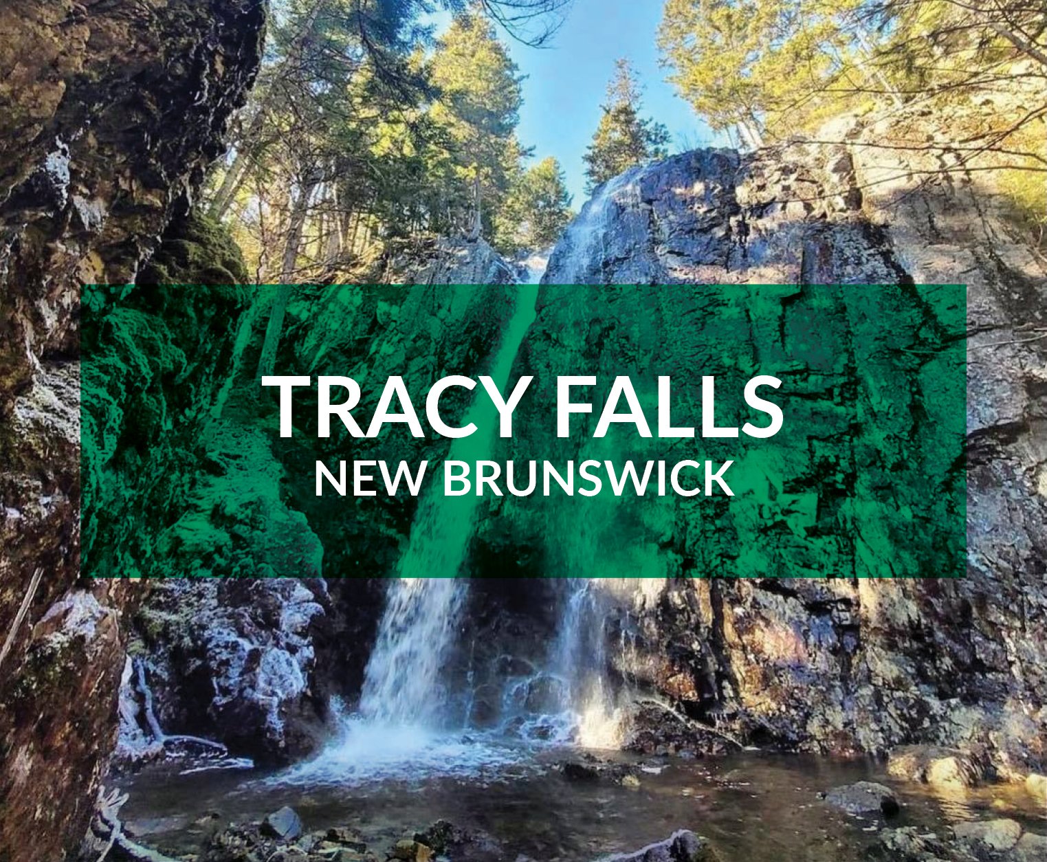 tracy falls