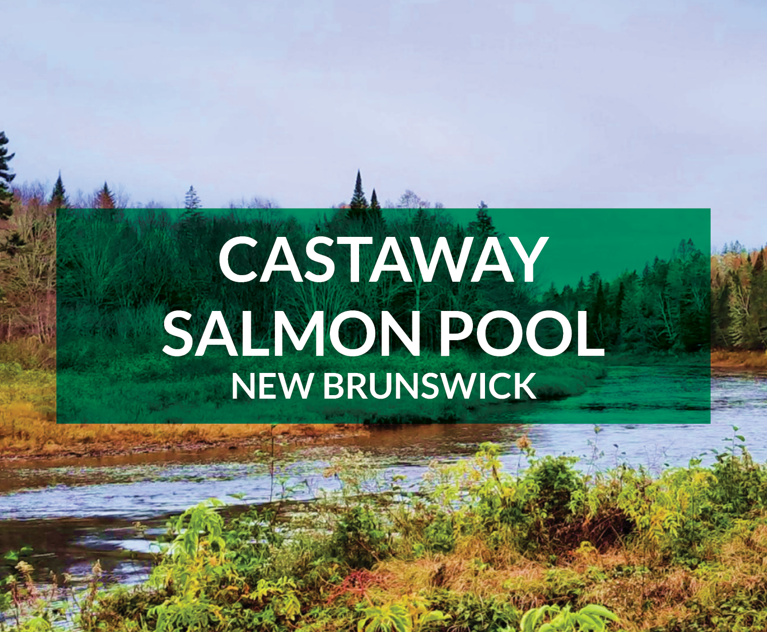 castaway salmon pool