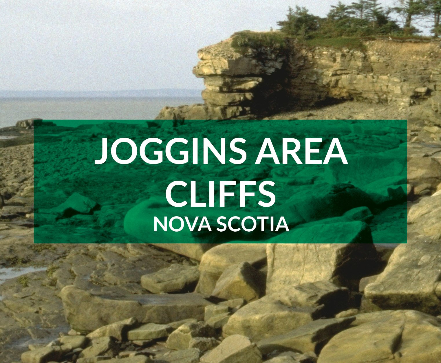 joggins cliff 