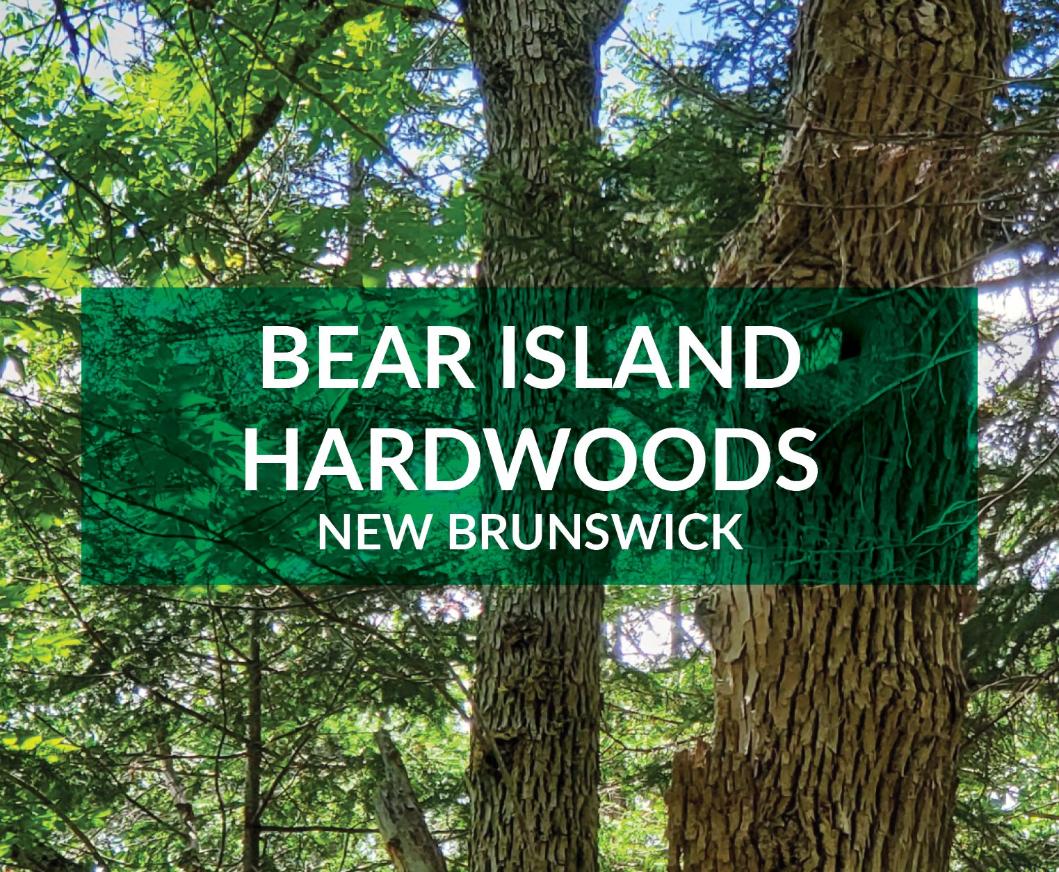 bear island hardwoods